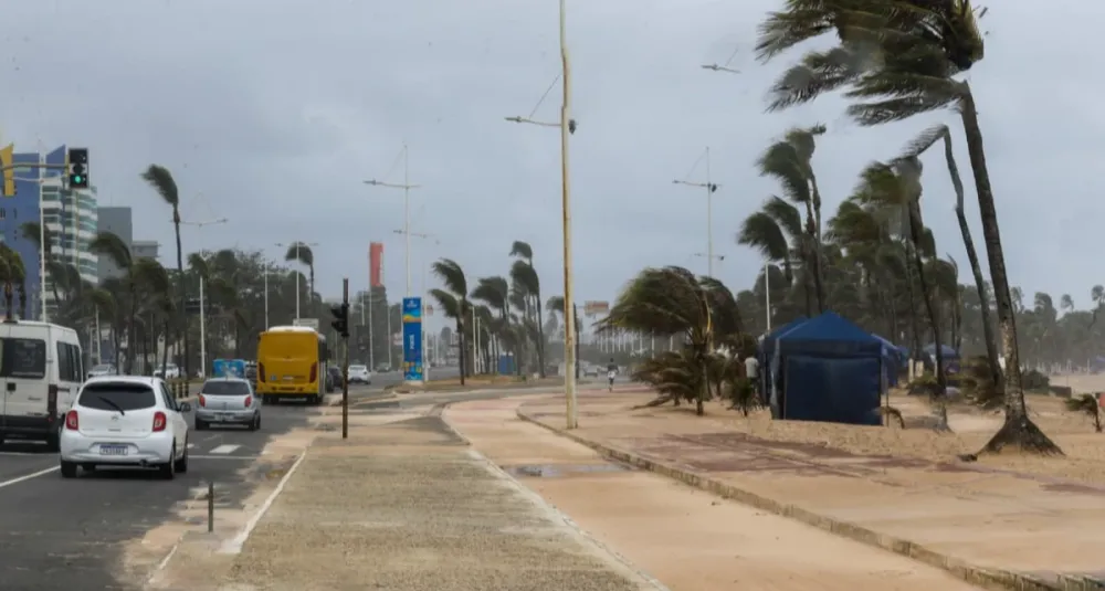 Ventania atinge 75 km/h em Salvador e gera estragos pela cidade