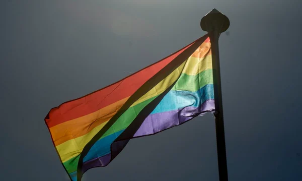 Bahia figura como um dos estados com mais mortes de pessoas LGBTQIA+