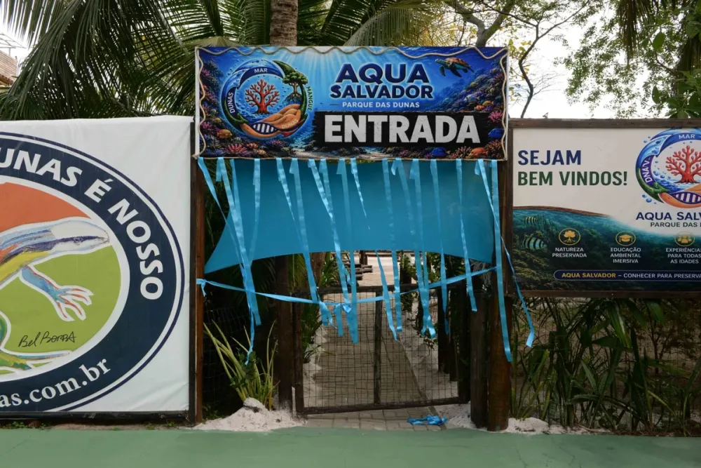 Aqua Salvador: conheça o novo aquário temático inaugurado no Parque das Dunas