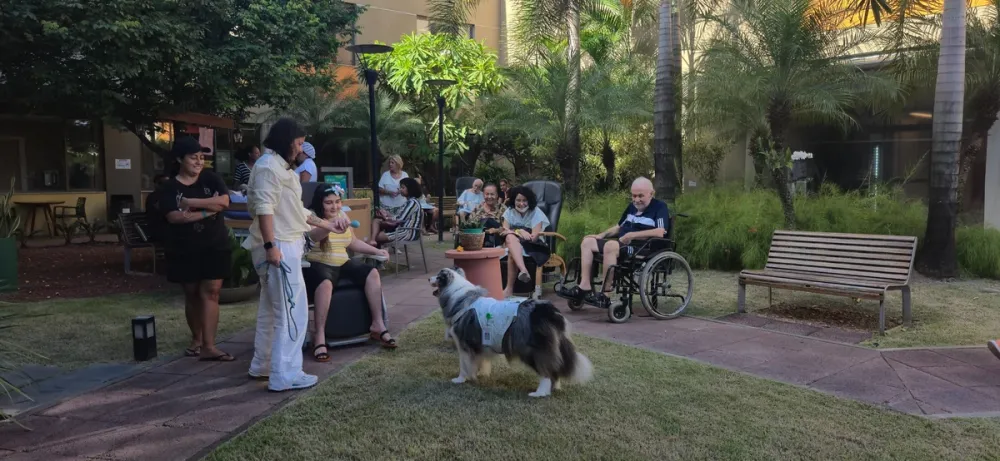 Hospital de Salvador aposta em horta, música e cãoterapia para ajudar na recuperação de pacientes
