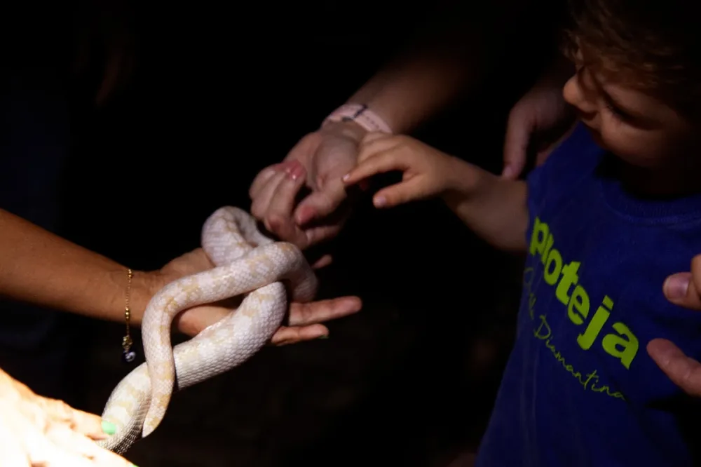 Zoo de Salvador abre inscrições para passeio noturno gratuito nesta terça-feira (20)