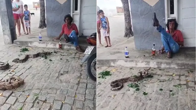 Homem solta três jiboias em praça e causa pânico em comunidade rural baiana