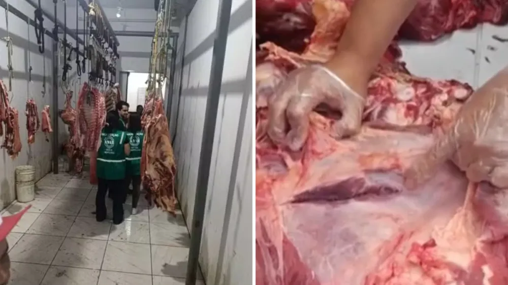 Apreensão de 100 kg de carne contaminada mobiliza autoridades em cidade do sul da Bahia